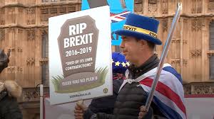 Brexit protester Steve Bray: We're not giving up