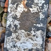 How an iPad dug up from the Thames solved museum thieves' murder plot