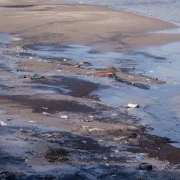 Money pledged to clean London's 'damaged' rivers