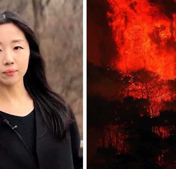 Why have the wildfires in S Korea been so devastating?