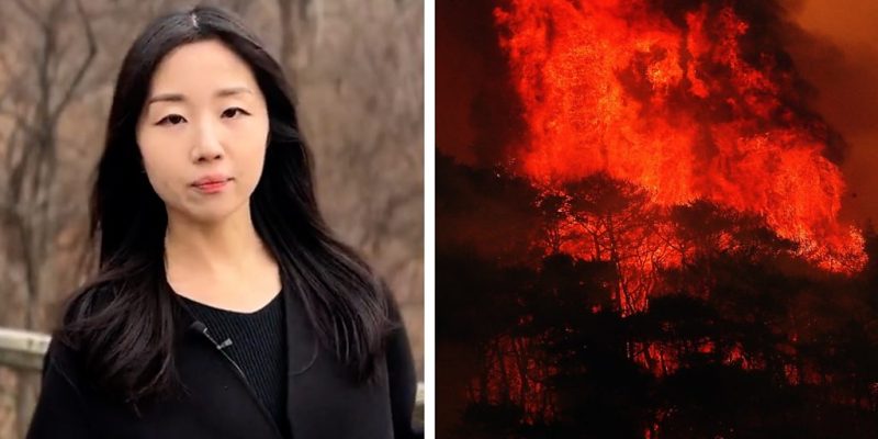 Why have the wildfires in S Korea been so devastating?