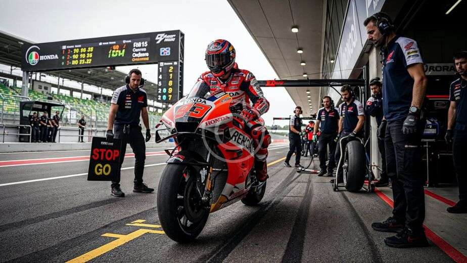 custom img 195 copyright